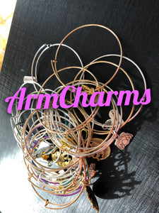 The Bangles Everyone Loves (choose variant)